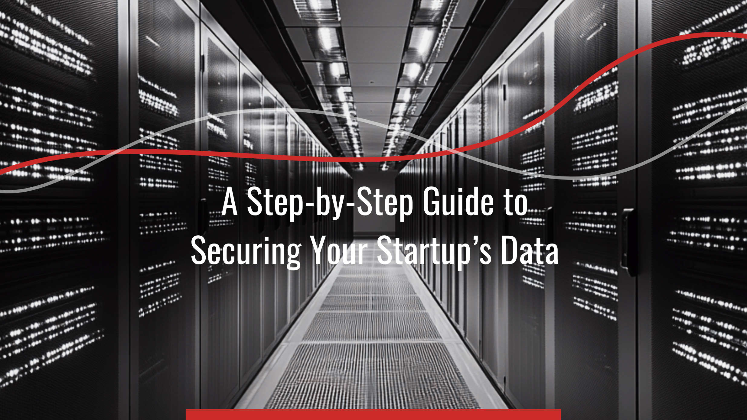 A Step-by-Step Guide to Securing Your Startup’s Data